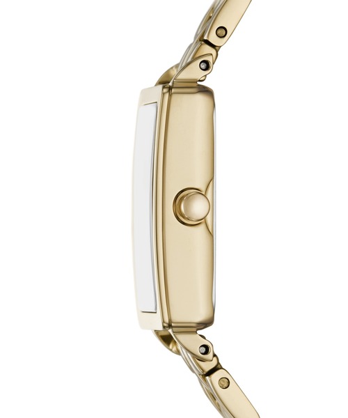 SKAGEN（スカーゲン） 腕時計 腕時計 レディース アナログ ステンレス