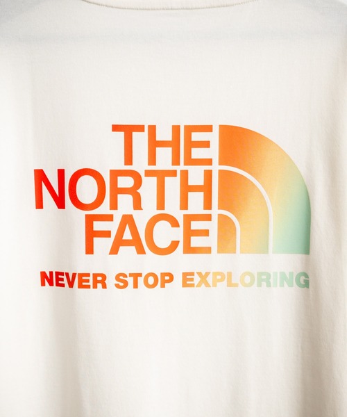 THE NORTH FACE tシャツ 日本未展開モデル 韓国WEB限定 ザ