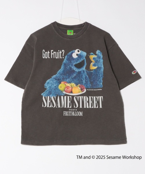 FRUIT OF THE LOOM（フルーツオブザルーム） tシャツ SESAME STREET