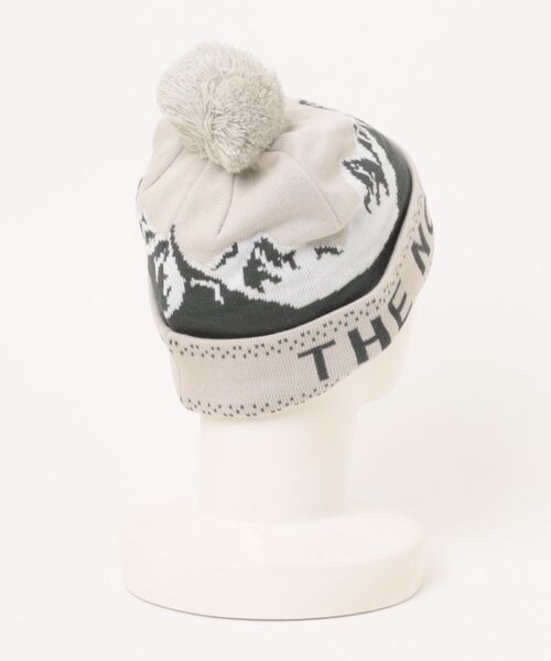 THE NORTH FACE（ザ ノースフェイス） ニット帽 ニットキャップ