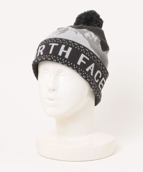 THE NORTH FACE（ザ ノースフェイス） ニット帽 ニットキャップ