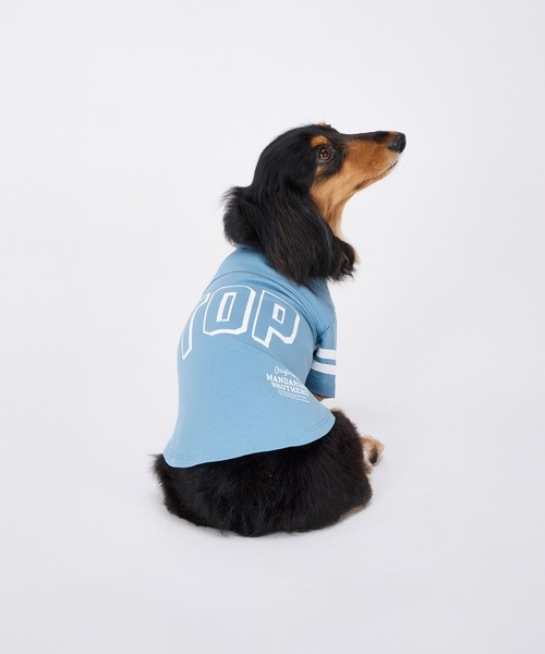  originals アディダス ペット 服 ブルー M 犬 adidas（アディダス） 犬 服 ペット カリ Tシャツ / アディダス