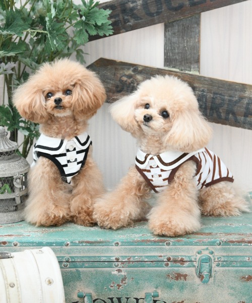 ROPE' PICNIC（ロペ ピクニック） 犬 服 ROPE' PICNIC/セーラーカラー