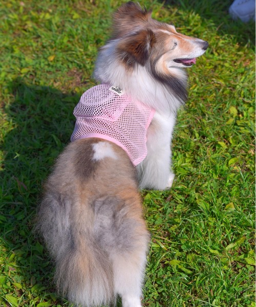 OINUSAMA ONEKOSAMA 空調ペット服 COOL DOG ONEKOSAMA OINUSAMA 空調ペット服 COOL DOG ホワイト 8L【ファン