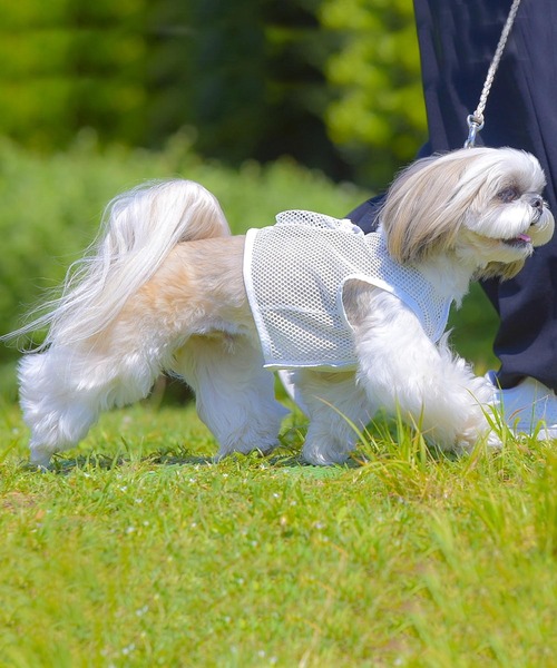 ONEKOSAMA OINUSAMA（おねこさま・おいぬさま） 犬 服 空調ペット服