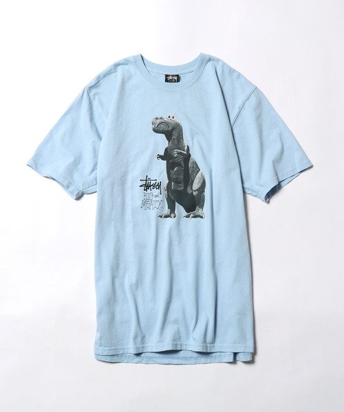 STUSSY（ステューシー） tシャツ BIG ＆ MEATY PIG. DYED TEE プリント