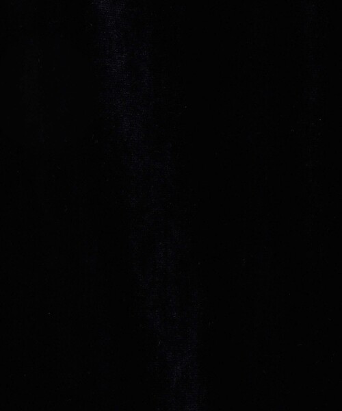 CABaN（キャバン） パンツ ソフトベロア セミワイドパンツ レディース