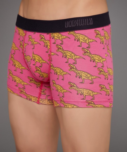 BODY WILD（ボディワイルド） ボクサーパンツ ボクサーパンツ 綿混