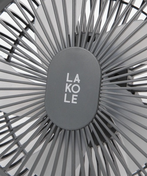 LAKOLE 「LEDライト付き／車内／脱衣所／キッチン」2WAYビック