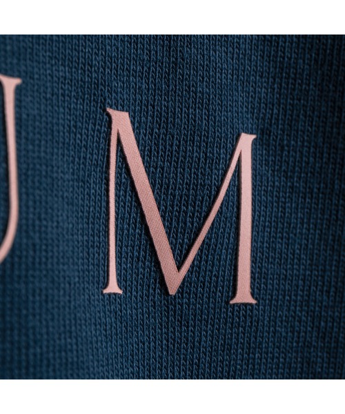「APPLEBUM」 半袖Tシャツ MEDIUM ダークブラウン メンズ_画像5