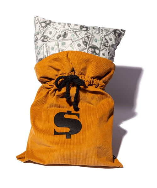 ハンドバッグ Banknote Cushion Bag / バンクノートクッションバッグ_10