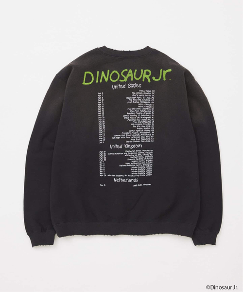 ダイナソーjr dinosaur jr 　CD9枚セット JOURNAL STANDARD（ジャーナルスタンダード） トレーナー スウェット