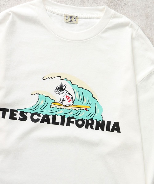 The Endless Summer（エンドレスサマー） tシャツ TES CALIFORNIA WAVE