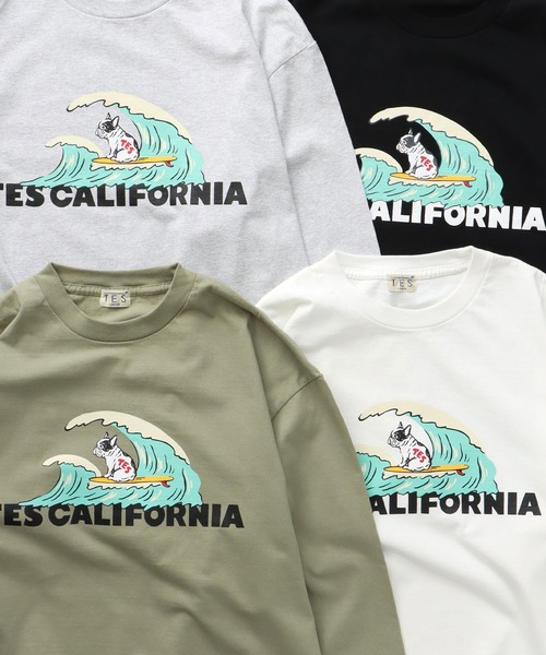 The Endless Summer（エンドレスサマー） tシャツ TES CALIFORNIA WAVE