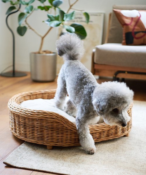 journal standard Furniture（ジャーナル スタンダード ファニチャー