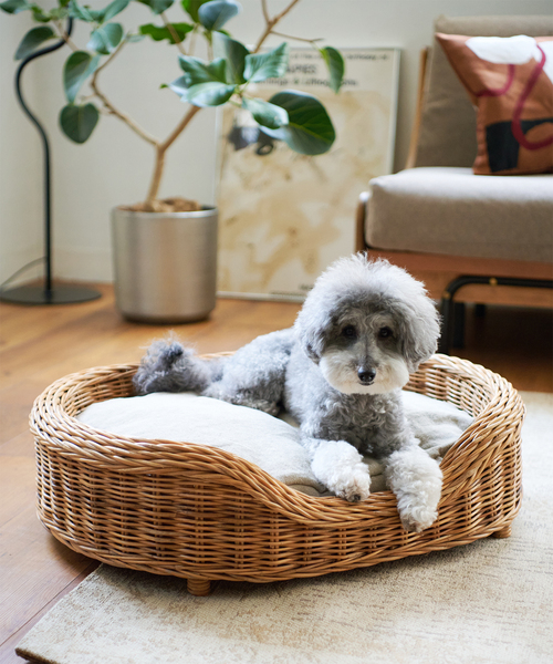 journal standard Furniture（ジャーナル スタンダード ファニチャー