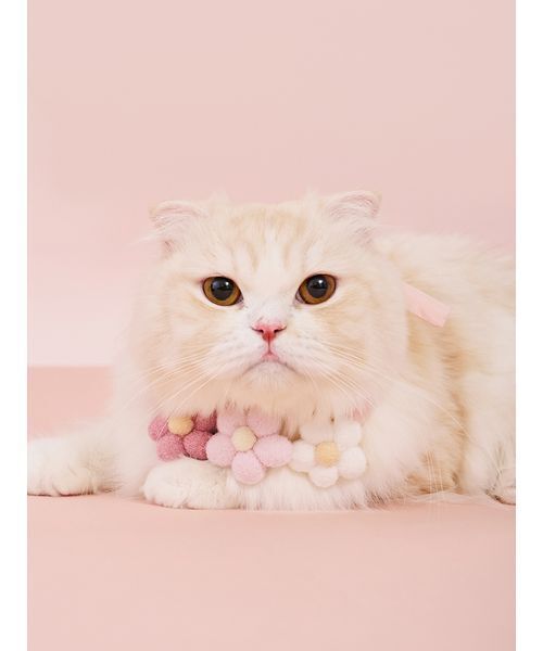 gelato pique（ジェラートピケ） 犬 ハーネス リード 「CAT＆DOG