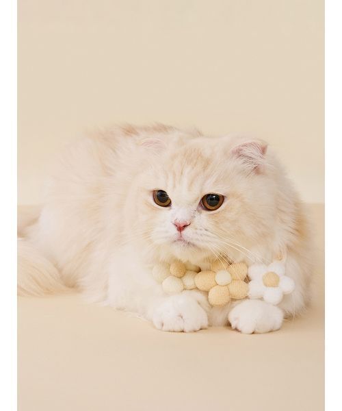 gelato pique（ジェラートピケ） 犬 ハーネス リード 「CAT＆DOG