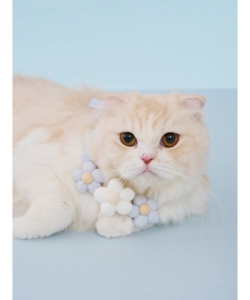 gelato pique（ジェラートピケ） 犬 ハーネス リード 「CAT＆DOG