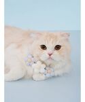 犬 ハーネス リード 「CAT&DOG」スムー...の詳細画像1