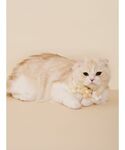 犬 ハーネス リード 「CAT&DOG」スムー...の詳細画像4