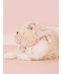 犬 ハーネス リード 「CAT&DOG」スムー...の詳細画像5