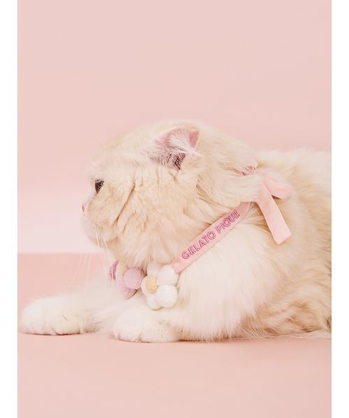 bakutorauです　犬チョーカー　カーネーション gelato pique（ジェラートピケ） 犬 ハーネス リード 「CAT＆DOG