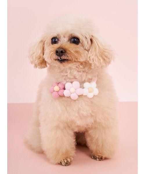 gelato pique（ジェラートピケ） 犬 ハーネス リード 「CAT＆DOG