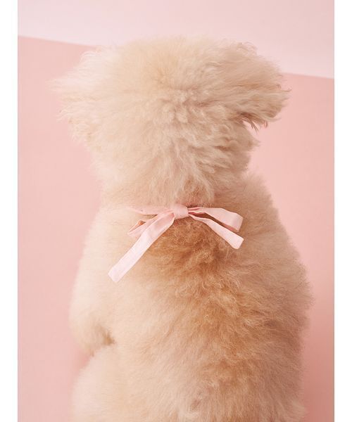 gelato pique（ジェラートピケ） 犬 ハーネス リード 「CAT＆DOG