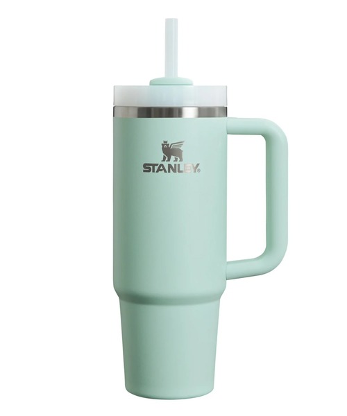 STANLEY（スタンレー） 水筒 H2.0 真空スリムクエンチャー 0.88L 10
