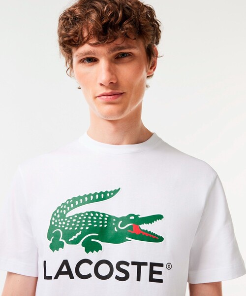 「LACOSTE」 半袖Tシャツ 4 ホワイト メンズ_画像6