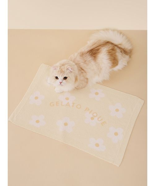 gelato pique（ジェラートピケ） 「CAT＆DOG」スムーズィーフラワー