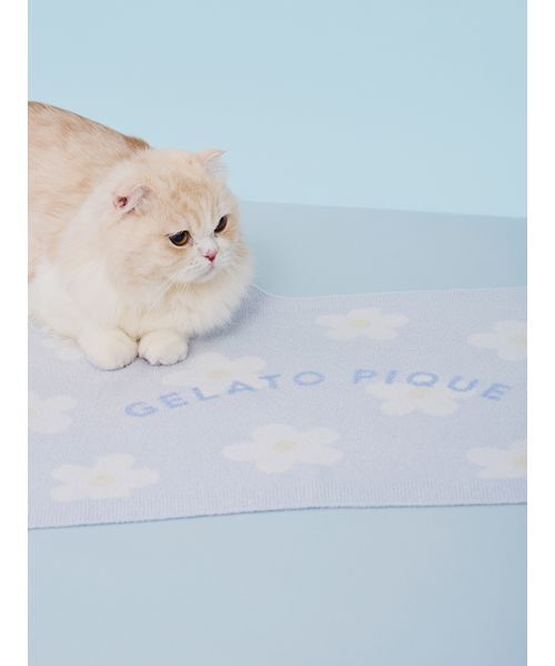 gelato pique（ジェラートピケ） 「CAT＆DOG」スムーズィーフラワー