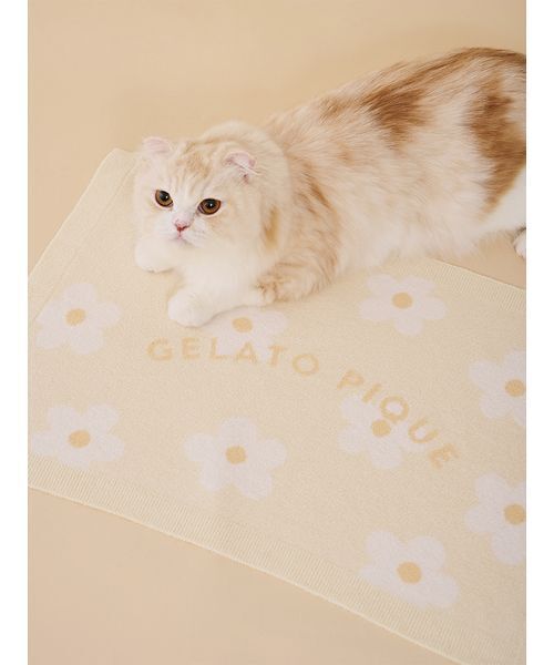 gelato pique（ジェラートピケ） 「CAT＆DOG」スムーズィーフラワー