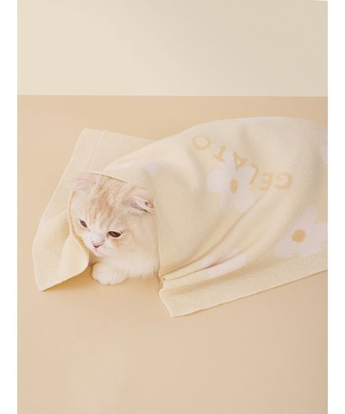 gelato pique（ジェラートピケ） 「CAT＆DOG」スムーズィーフラワー