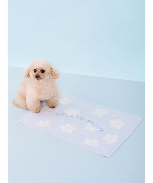 gelato pique（ジェラートピケ） 「CAT＆DOG」スムーズィーフラワー