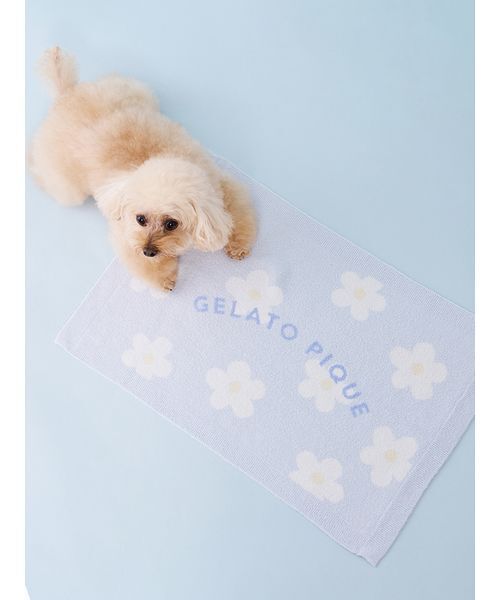 gelato pique（ジェラートピケ） 「CAT＆DOG」スムーズィーフラワー