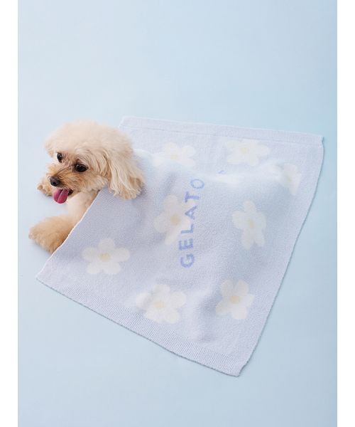 gelato pique（ジェラートピケ） 「CAT＆DOG」スムーズィーフラワー