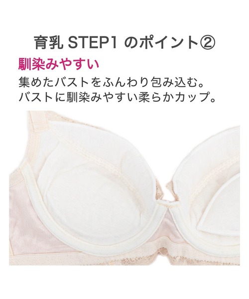 ブラデリス ウェンディステップ1ブラ24S2 65D BRADELIS NewYork ブラジャー ウェンディステップ1ブラ24S2