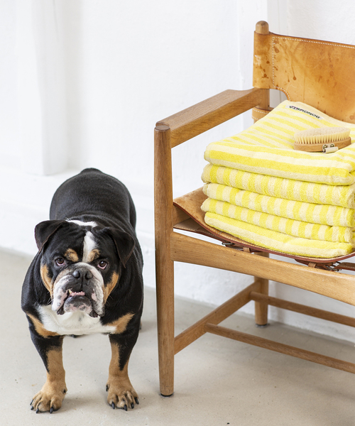 タオル 「BONGUSTA」 BATH TOWEL　バスタオルの画像