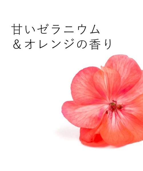 エコストア ecostore / ランドリーリキッド「ゼラニウム＆オレンジ」リフィルパック1L | ecostore | 03