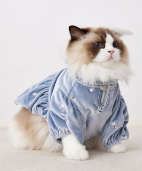 CELFORD（セルフォード） 犬 服 「DOG＆CAT」小花刺繍ベロアワンピース