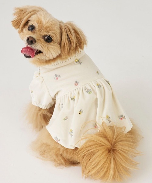 CELFORD（セルフォード） 犬 服 「DOG＆CAT」小花刺繍ベロアワンピース