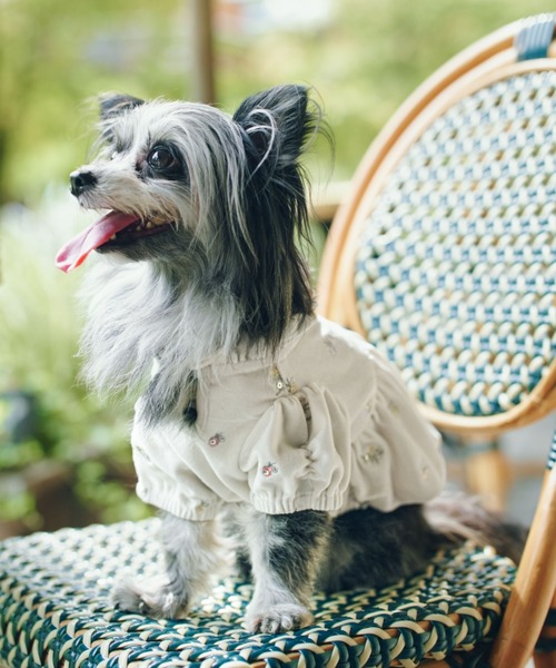 CELFORD（セルフォード） 犬 服 「DOG＆CAT」小花刺繍ベロアワンピース