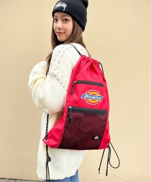 Dickies（ディッキーズ） デイバック リュック DICKIES / DK ICON LOGO