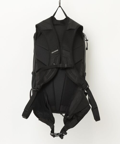 デイバック リュック サロモン Salomon トレイルブレイザー 20 TRAILBLAZER 20 メンズ レディースの画像