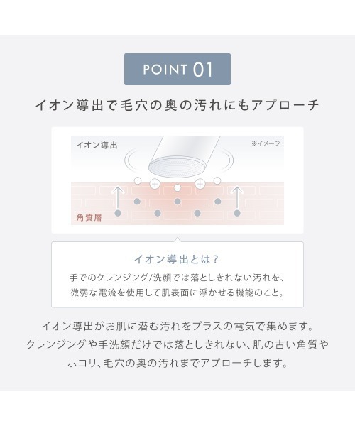 SALONIA サロニア SALONIA(サロニア) ダブルブラシフェイスケア
