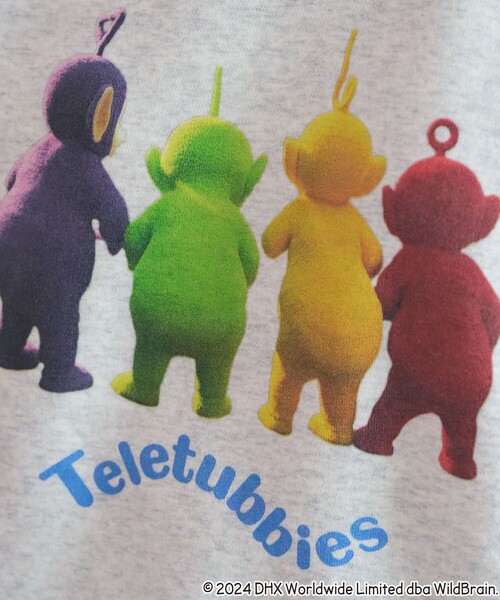 まとめて特価‼️テレタビーズ4枚セット‼️ p01bty2165_l.jpg