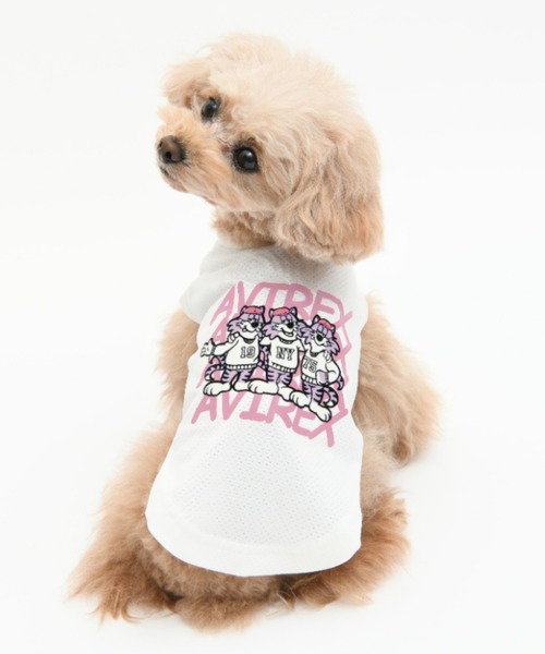AVIREX（アヴィレックス） 犬 服 AVIREX/ランダムロゴトムキャット