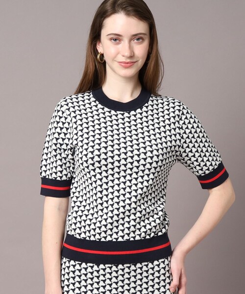「DRESSTERIOR」 半袖ニット 36 ネイビー レディース DRESSTERIOR 「DRESSTERIOR」 半袖ニット 36 ネイビー